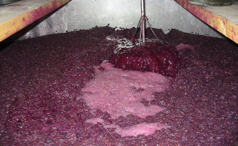 Elaboración del vino II. Fermentación